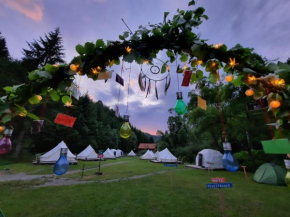 Hotels in Lunca Bradului